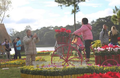 Khai mạc Festival 'Hoa Đà Lạt - Kết tinh kỳ diệu từ đất lành' ảnh 2